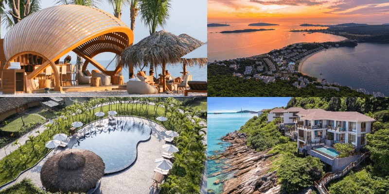 Hình ảnh Trung tâm Anh ngữ Tân Việt Mỹ