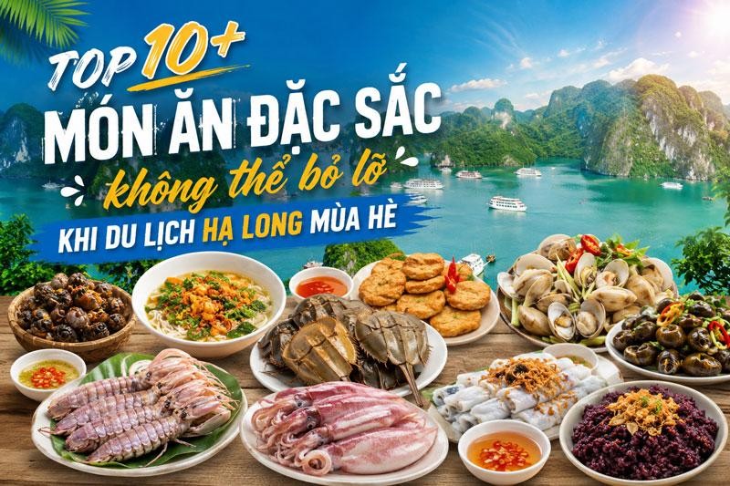 Hình ảnh Hệ thống Anh ngữ Quốc tế Ocean Edu